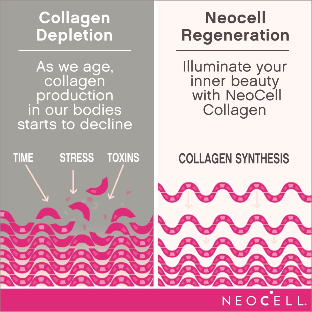 NeoCell Super Collagen Powder 6.6g Collagen Types 1 & 3 198g - Image 3