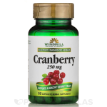 Windmill Cranberry 250mg 60 Capsules