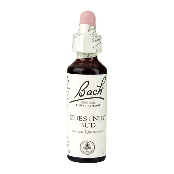 Bach Original Flower Remedies Chestnut Bud 20ml