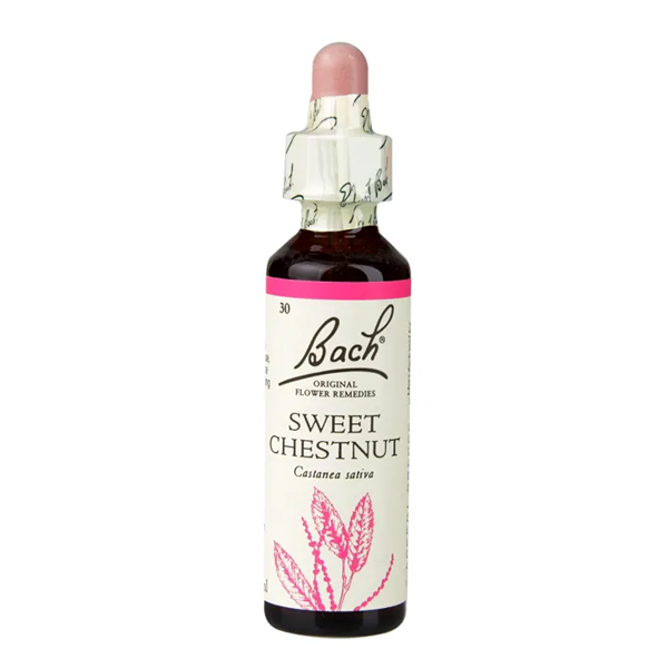 Bach Original Flower Remedies Sweet Chestnut 20ml