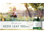 Carlyle Neem Leaf Traditional Herbal Supplement 950mg 300 Capsules - Image 2