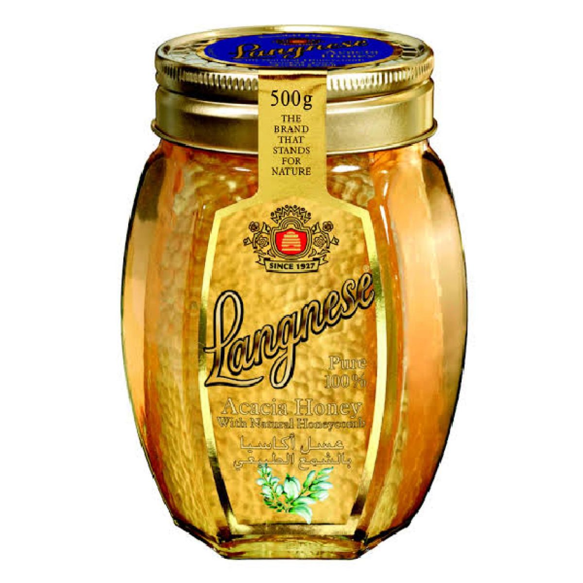 Langnese Acacia With Natural Honeycomb Honey 500g (GERMANY) - Image 1