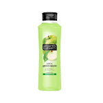 Alberto Balsam Juicy Green Apple fresh and fruity fragrance Refreshing Shampoo gentle cleansing hair care 350ml