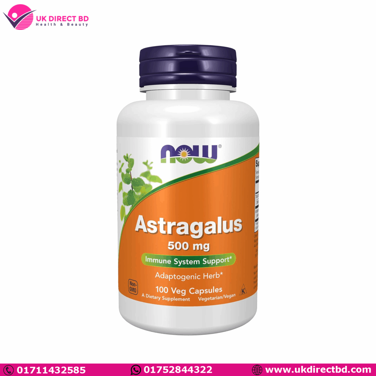 NOW Foods  Astragalus 500 mg Immune System Support 100 Capsules - Image 1