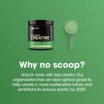 OPTIMUM NUTRITION Micronized Creatine Monohydrate Powder 300g - Image 2